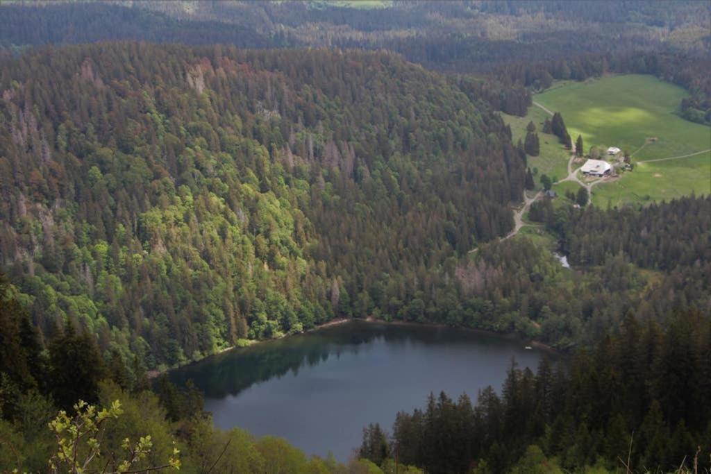 Ferienwohnung Schwarzwald Hinterzarten Exterior foto