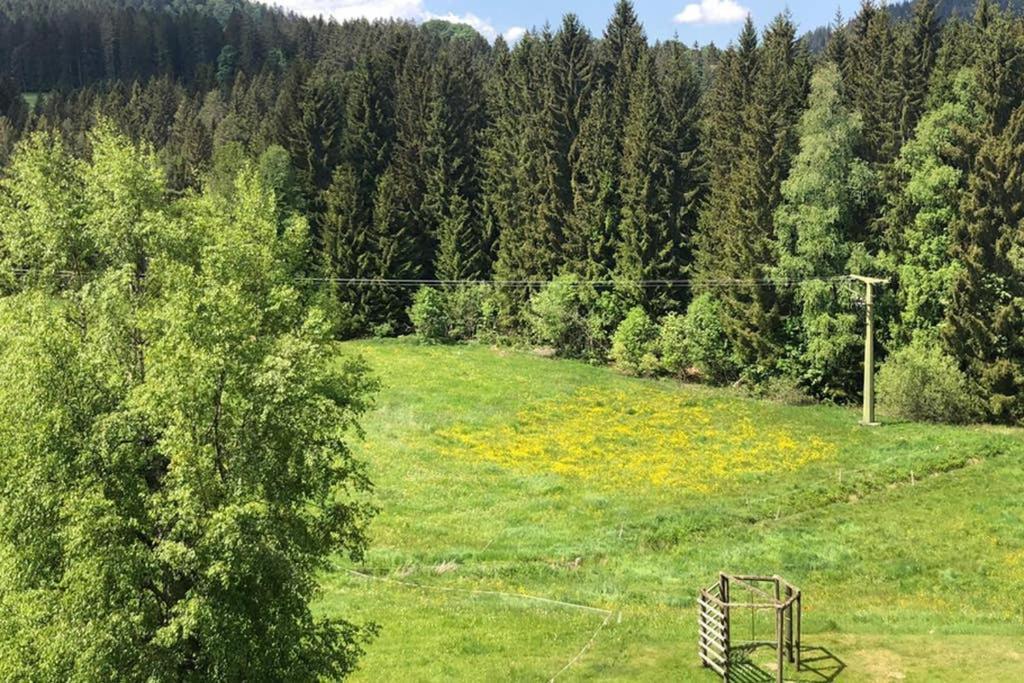 Ferienwohnung Schwarzwald Hinterzarten Exterior foto